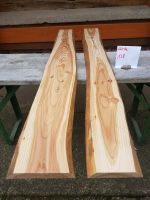 Lärche Bretter Holz gehobelt getrocknet Thüringen - Elxleben an der Gera Vorschau
