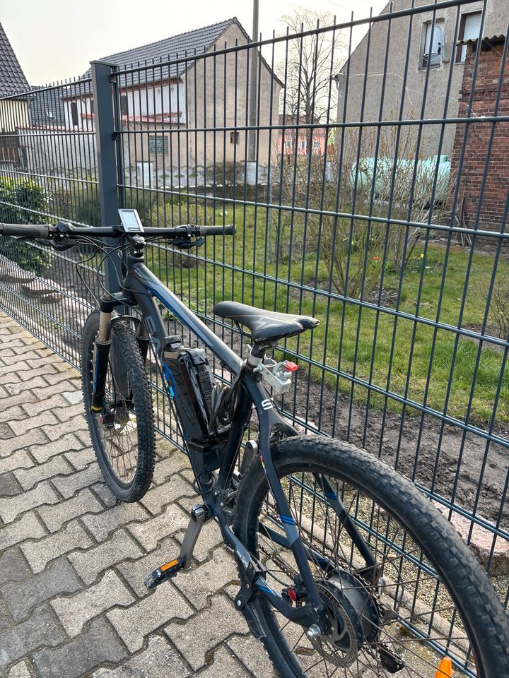 E Bike der Marke saxxx in Herzberg/Elster