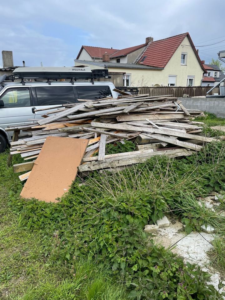 Holz zu verschenken in Stendal