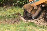 Stubbenfräsen Wurzelfräsen Baden-Württemberg - Steinmauern Vorschau