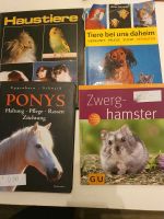 Sachbücher Ponys Pferde Hamster Haustiere Hund Katze Bayern - Mainbernheim Vorschau