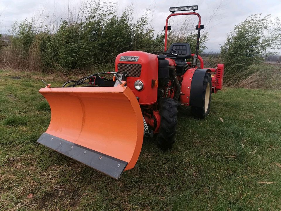 Krieger KS30 Allrad Bulldog Weinbergschlepper Traktor in Haren (Ems)