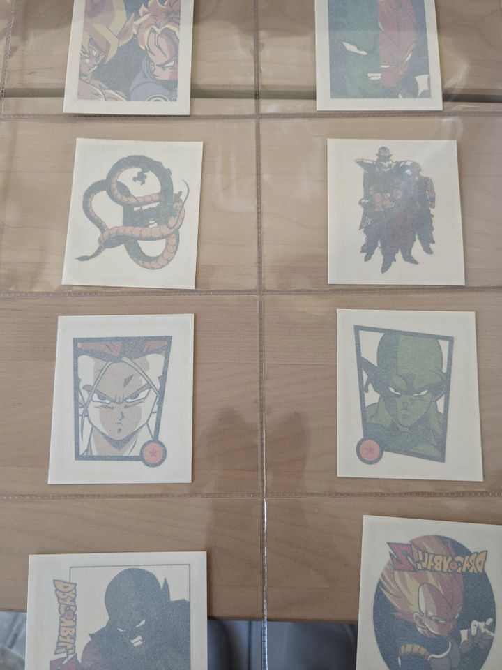 Dragonball Sammel Tattoos in Leipzig