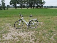 Kettler Layana fun Damen Fahrrad 28'' weiß  Narbenschaltung Hamburg - Hamburg-Nord Vorschau