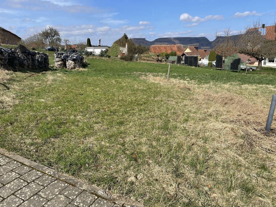 Baugrundstück Grundstück in Kirchehrenbach bei Forchheim in Forchheim