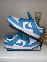Nike Dunks babyblau Niedersachsen - Glandorf Vorschau