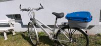 Damen Fahrrad  Falter, 28"mit 27 Gänge zweirad Baumann Bayern - Kaufbeuren Vorschau