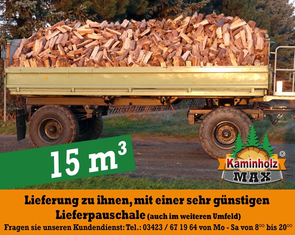 „ab 4 m³ bis 35 m³ - 40 km um Groitzsch  Pegau , Kaminholz, Brennholz, Feuerholz, Holzvergaser, Kamin, Holz, Feuer, Brenn in Pegau