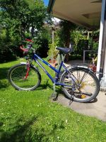 ✅ Zu verschenken:  Jugend Fahrrad Rahmenhöhe 46; 26 Zoll Räder Baden-Württemberg - Gemmrigheim Vorschau