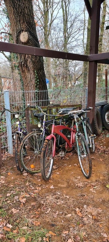 4Stk.Fahrräder abzugeben gegen eine Tüte Schlundfleisch. in Duisburg
