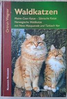 Buch "Waldkatzen " von Ortrun Wagner Schleswig-Holstein - Reinfeld Vorschau