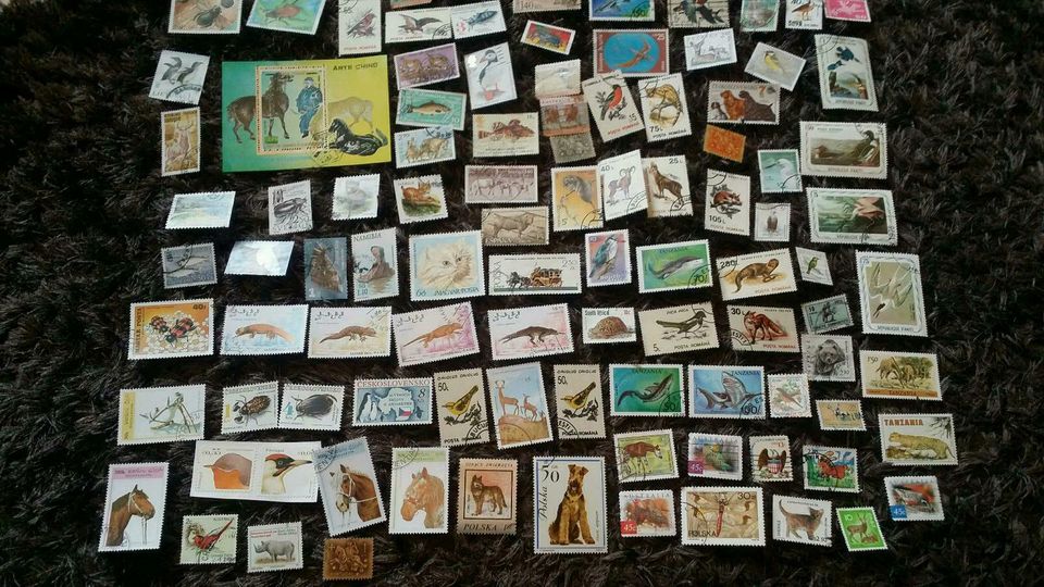 100 Briefmarken Motiv Tiere Alle Welt in Stadtbergen