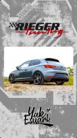 Rieger Tuning SEAT Leon 5F Cupra Heckeinsatz Diffusor FL Brandenburg - Ludwigsfelde Vorschau