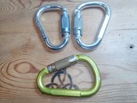 1x Karabiner Twistlock 2 Wege AUSTRIALPIN SALEWA HMS klettern Sachsen - Grünhain-Beierfeld  Vorschau