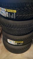 Letzt 4 stk Winterreifen ROADMARCH  215/55 R16 97 H M+S dot 2023 Nordrhein-Westfalen - Rheine Vorschau