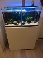 Aquarium  42 Liter komplett Baden-Württemberg - Calw Vorschau