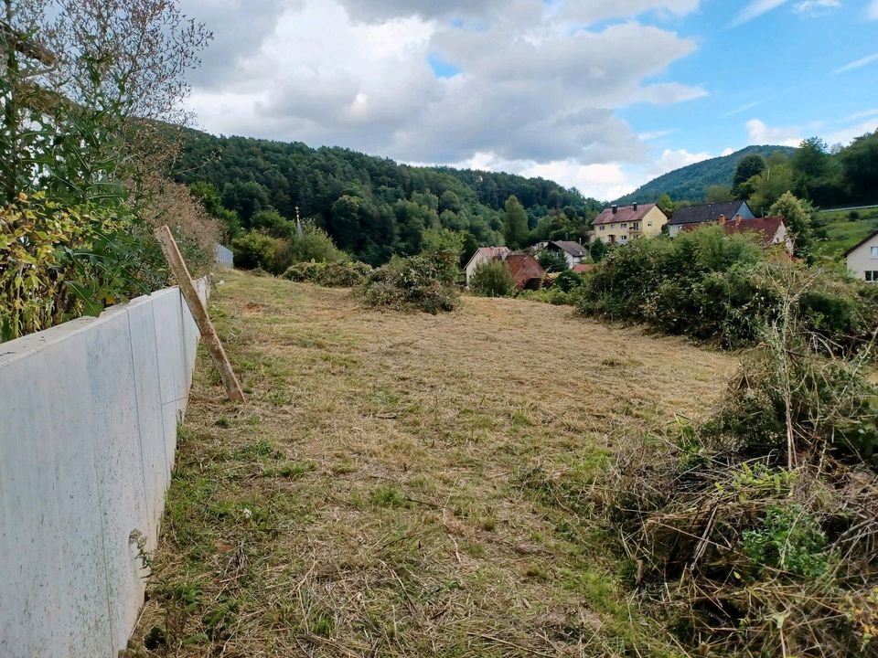 Baugrundstücke in RheinlandPfalz Lug (Pfalz) Grundstück & Garten