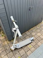 Segway Ninebot Zing C10 Kickscooter Baden-Württemberg - Reilingen Vorschau