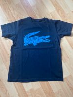 Lacoste Tshirt Gr.164 Kr. München - Ottobrunn Vorschau