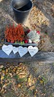 Grab pflege Blumen Gestecke trocken oder frisch Hessen - Petersberg Vorschau