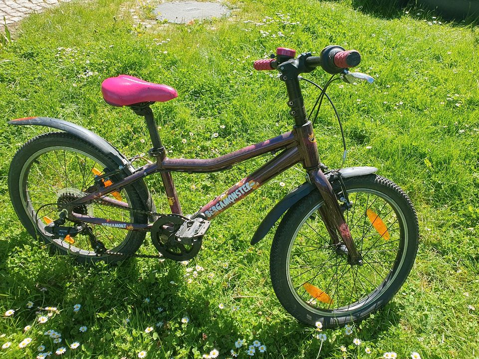 Kinderfahrrad Fahrrad 20'' Zoll Mountainbike in Südharz