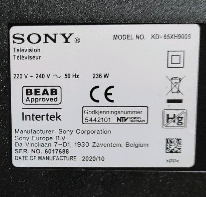 Sony KD 65XH9005  65 Zoll    10/2020 in Potsdam