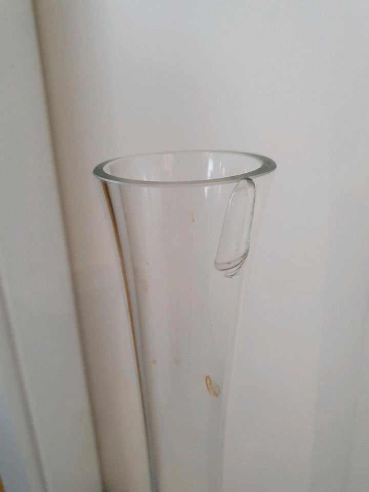 Stangenvasen Glas 93+78 cm auch für Floristiker/in Vase sehr groß in Dresden