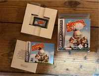 Himmel und Huhn, Nintendo Game boy, neu Baden-Württemberg - Ostfildern Vorschau