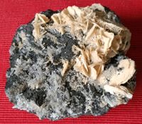 Mineralien Stufe Kabinettstufe Quarz mit Baryt v. Trepca Top Baden-Württemberg - Laufenburg (Baden) Vorschau