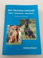 Andrea Kraft - Der Deutsche Pinscher Schleswig-Holstein - Mildstedt Vorschau