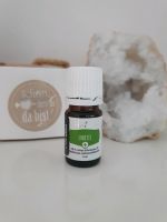 Young Living Lime Limette 5ml Pluslinie Öl Neu OVP Wellness Somme Bayern - Mömbris Vorschau