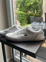 Lacoste Schuhe Männer weiß Wandsbek - Hamburg Bramfeld Vorschau