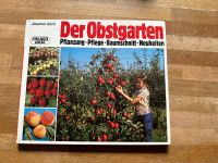 Der Obstgarten Pflanzung Pflege, Baumschnitt Schwerin - Friedrichsthal Vorschau
