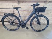 Kalkhoff Image L Advance * Das Leichtgewicht ** Neu ** Bosch SX ** E-Bike Schleswig-Holstein - Grauel Vorschau