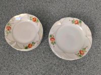 2 x 6 Teller mit Blumenmuster Rostock - Hansaviertel Vorschau