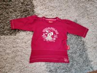 Sigikid Pullover Shirt größe 62 Kiel - Elmschenhagen-Nord Vorschau