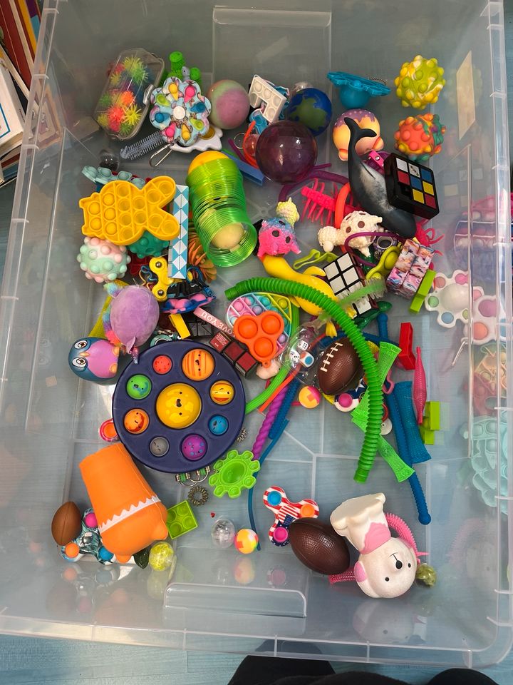 Fidget toys Paket in Rosengarten