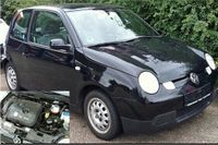 Schlachtfest VW Lupo 3L schwarz L041 guter Zus Teile Ersatzteile Nordrhein-Westfalen - Krefeld Vorschau