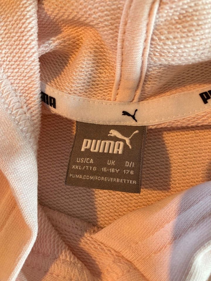 Puma Sport Hoodie Kapuzenpullover Gr. 176 15-16Y rosa in Freising