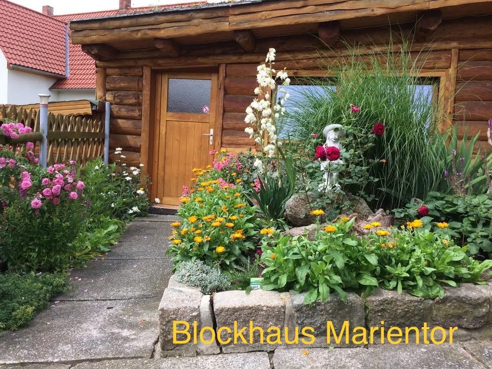 ☀️ Blockhaus mit Sauna in Quedlinburg Ferienhaus Ferienwohnung ☀️ in Quedlinburg