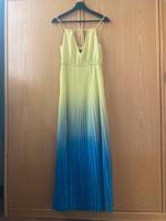 Hugo Maxikleid Plissee Sommer festlich Party Bremen-Mitte - Ostertor Vorschau