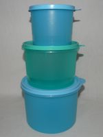 3 Tupperware Behälter Dosen C=5544A/5402B, B=263/238, A=250/215 Niedersachsen - Wahrenholz Vorschau