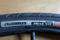 Specialized Nimbus 26 x 1,5 Reifen Dresden - Neustadt Vorschau