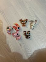 Littlest Pet Shop Schleswig-Holstein - Lübeck Vorschau