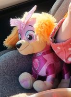 SUCHE Paw Patrol Skye (Spin Master 2017) Mecklenburg-Vorpommern - Lohme Rügen Vorschau