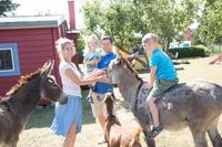 699€ Woche -Kinder &Familien Urlaub, Ferienhof mit Tieren, Strand Mecklenburg-Vorpommern - Brünzow Vorschau