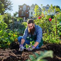 Garten- und Landschaftsbauer oder Helfer m/w/d Niedersachsen - Dörverden Vorschau