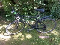 Trekkingrad Herren schwarz Corratec 28 Zoll Baden-Württemberg - Nagold Vorschau