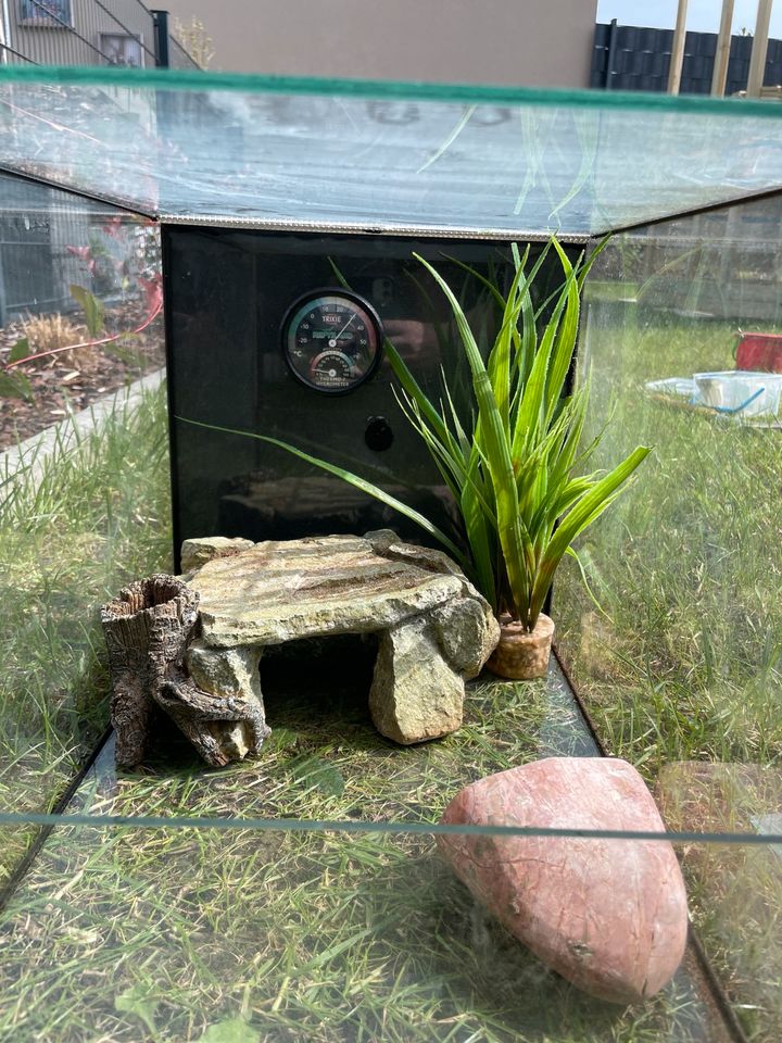 Terrarium mit Zubehör abzugeben in Viersen