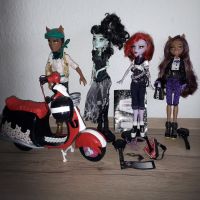 Monster High  Puppen Konvolut Brandenburg - Eberswalde Vorschau